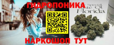 хмурый Жуковский
