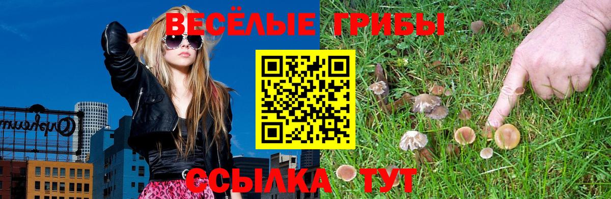 Псилоцибиновые грибы прущие грибы  Вход с VPN  Лянтор 